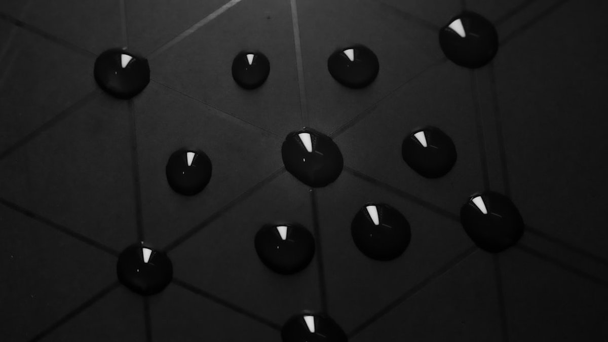 Immutable X vs Ronin